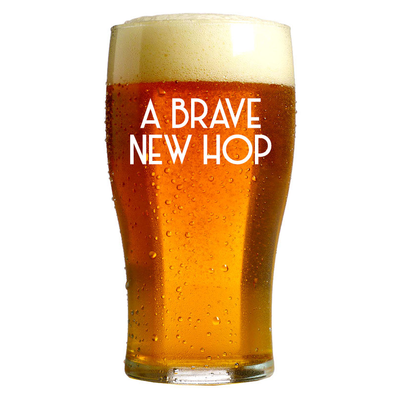 Kit Receita Cerveja Brave New Hop – English IPA