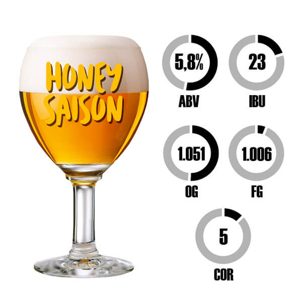 Kit Receita Cerveja Fácil Honey Saison